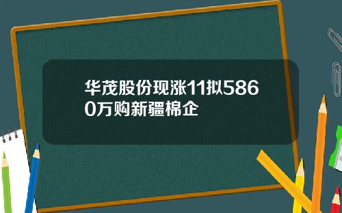 华茂股份现涨11拟5860万购新疆棉企