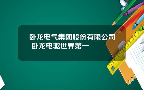 卧龙电气集团股份有限公司 卧龙电驱世界第一