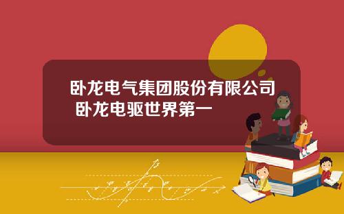 卧龙电气集团股份有限公司 卧龙电驱世界第一