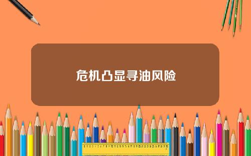 危机凸显寻油风险