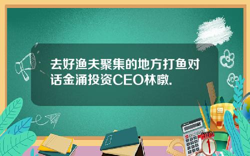 去好渔夫聚集的地方打鱼对话金涌投资CEO林暾.