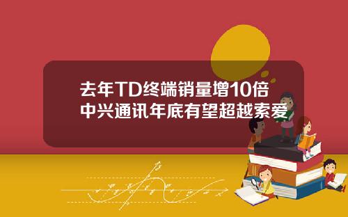去年TD终端销量增10倍中兴通讯年底有望超越索爱