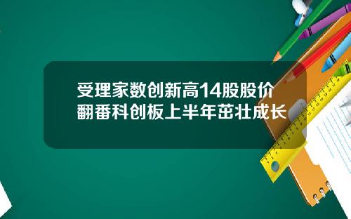 受理家数创新高14股股价翻番科创板上半年茁壮成长