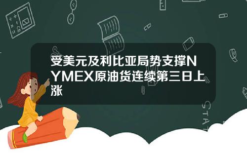 受美元及利比亚局势支撑NYMEX原油货连续第三日上涨