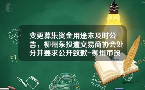 变更募集资金用途未及时公告，柳州东投遭交易商协会处分并要求公开致歉-柳州市投资控股有限公司老总