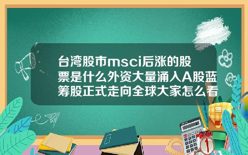 台湾股市msci后涨的股票是什么外资大量涌入A股蓝筹股正式走向全球大家怎么看