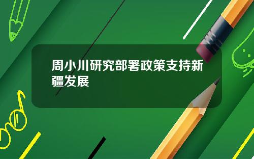 周小川研究部署政策支持新疆发展