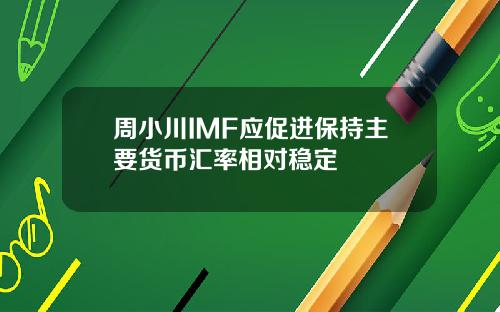 周小川IMF应促进保持主要货币汇率相对稳定