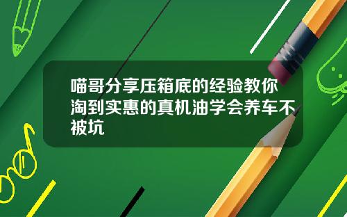喵哥分享压箱底的经验教你淘到实惠的真机油学会养车不被坑