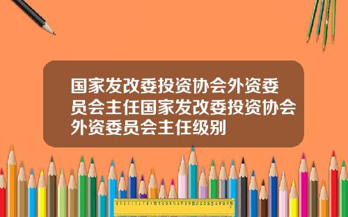 国家发改委投资协会外资委员会主任国家发改委投资协会外资委员会主任级别