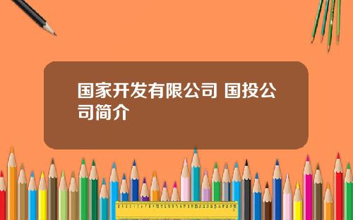 国家开发有限公司 国投公司简介