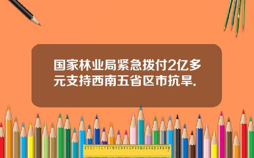 国家林业局紧急拨付2亿多元支持西南五省区市抗旱.