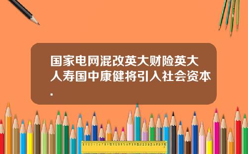 国家电网混改英大财险英大人寿国中康健将引入社会资本.