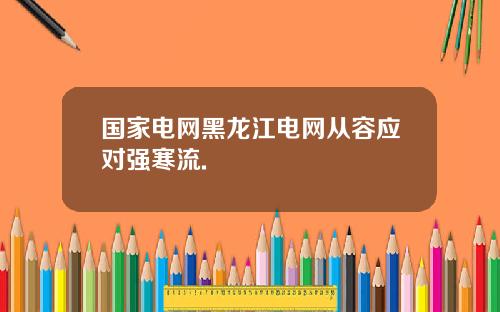 国家电网黑龙江电网从容应对强寒流.