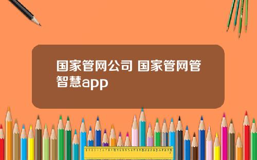 国家管网公司 国家管网管智慧app