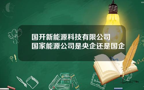 国开新能源科技有限公司 国家能源公司是央企还是国企