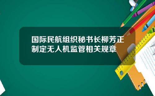 国际民航组织秘书长柳芳正制定无人机监管相关规章