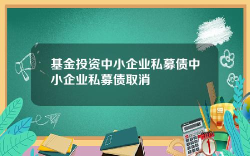 基金投资中小企业私募债中小企业私募债取消