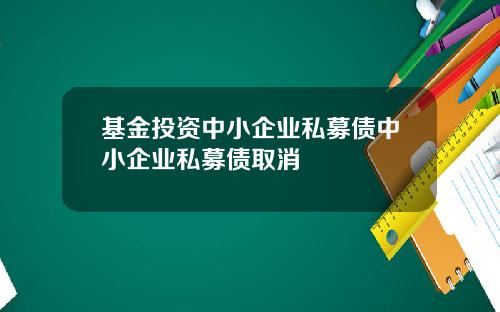 基金投资中小企业私募债中小企业私募债取消