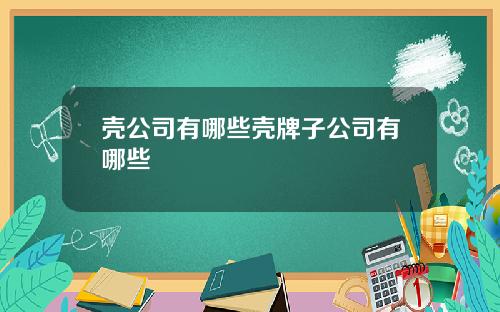 壳公司有哪些壳牌子公司有哪些