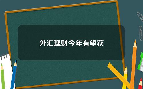 外汇理财今年有望获