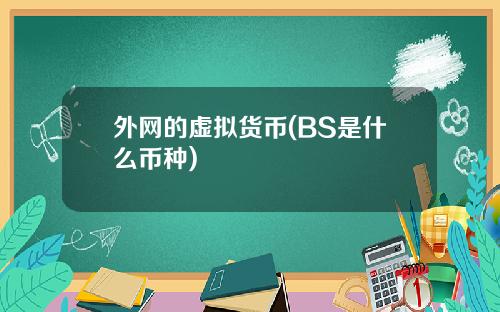 外网的虚拟货币(BS是什么币种)