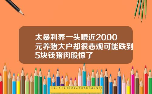 太暴利养一头赚近2000元养猪大户却很悲观可能跌到5块钱猪肉股惊了