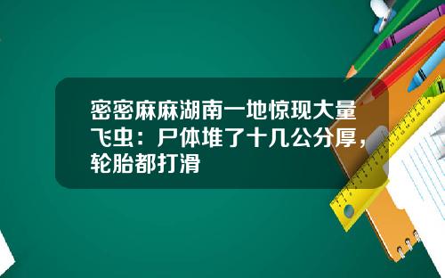 密密麻麻湖南一地惊现大量飞虫:尸体堆了十几公分厚,轮胎都打滑