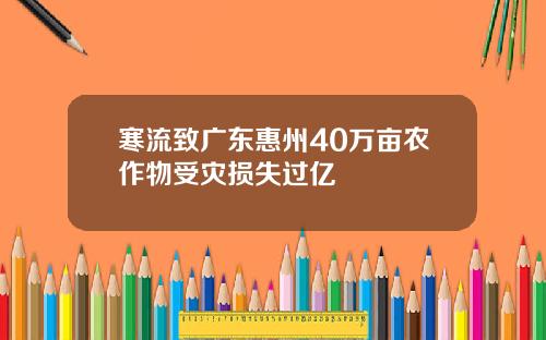 寒流致广东惠州40万亩农作物受灾损失过亿