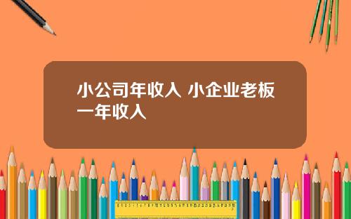 小公司年收入 小企业老板一年收入