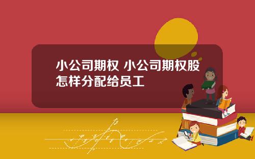 小公司期权 小公司期权股怎样分配给员工