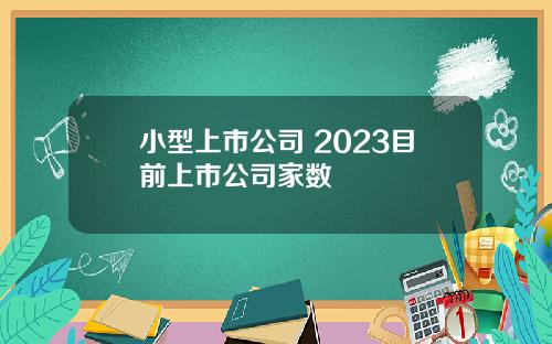 小型上市公司 2023目前上市公司家数