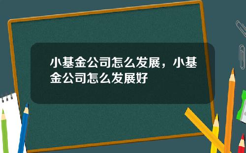 小基金公司怎么发展,小基金公司怎么发展好