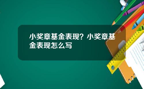 小奖章基金表现?小奖章基金表现怎么写