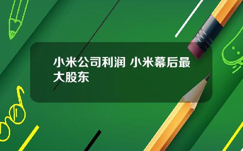 小米公司利润 小米幕后最大股东