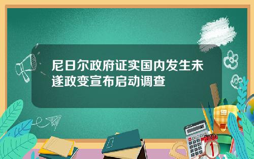 尼日尔政府证实国内发生未遂政变宣布启动调查
