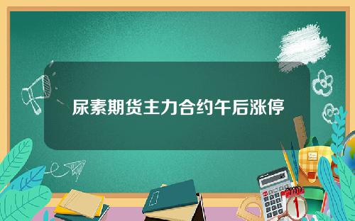 尿素期货主力合约午后涨停