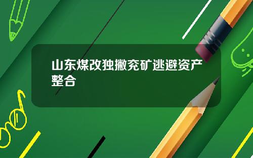 山东煤改独撇兖矿逃避资产整合