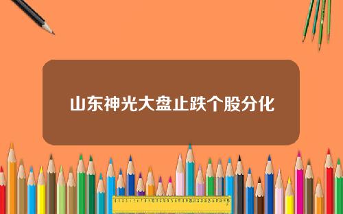 山东神光大盘止跌个股分化