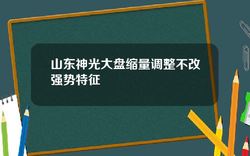 山东神光大盘缩量调整不改强势特征