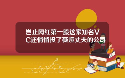 岂止网红第一股这家知名VC还悄悄投了薇娅丈夫的公司