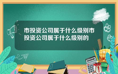 市投资公司属于什么级别市投资公司属于什么级别的