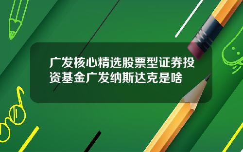 广发核心精选股票型证券投资基金广发纳斯达克是啥
