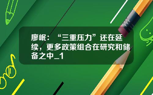 廖岷:“三重压力”还在延续,更多政策组合在研究和储备之中_1