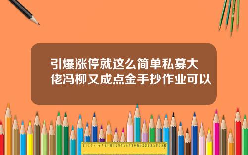 引爆涨停就这么简单私募大佬冯柳又成点金手抄作业可以