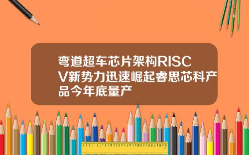 弯道超车芯片架构RISCV新势力迅速崛起睿思芯科产品今年底量产