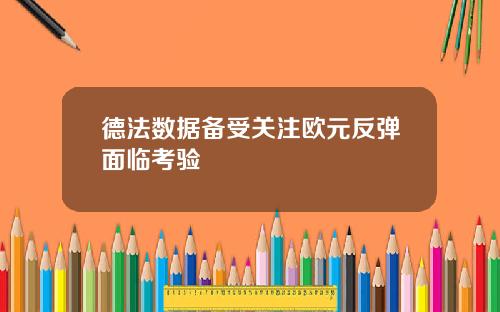 德法数据备受关注欧元反弹面临考验