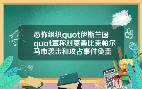 恐怖组织quot伊斯兰国quot宣称对莫桑比克帕尔马市袭击和攻占事件负责