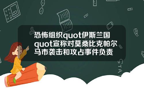恐怖组织quot伊斯兰国quot宣称对莫桑比克帕尔马市袭击和攻占事件负责
