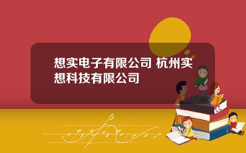 想实电子有限公司 杭州实想科技有限公司
